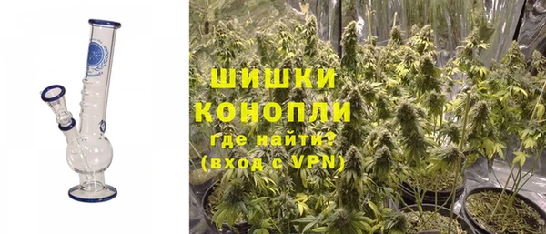 мдпв Зеленодольск