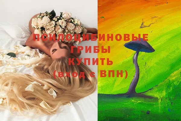 стаф Зеленокумск