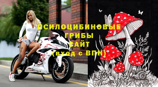 стаф Зеленокумск